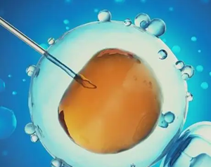 深圳借卵试管靠谱吗-是不是因为胚胎质量不高？